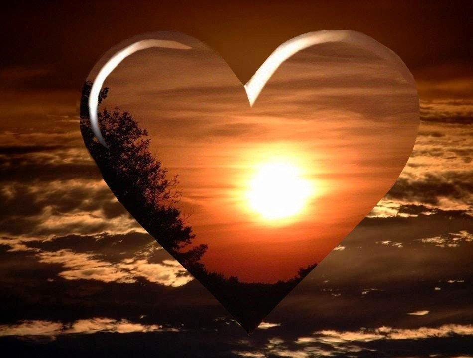 What’s Love Got To Do With It